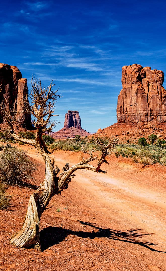 L'Ouest Americain et l'environnement